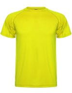 Fluor Yellow 221