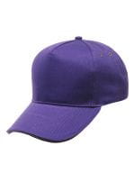 Majestic Purple / Seal Grey (Solid)